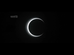 AC100-240V Speed ​​Gate Drehkreuz Bürogebäude Optisches Geschwindigkeitssperrentor